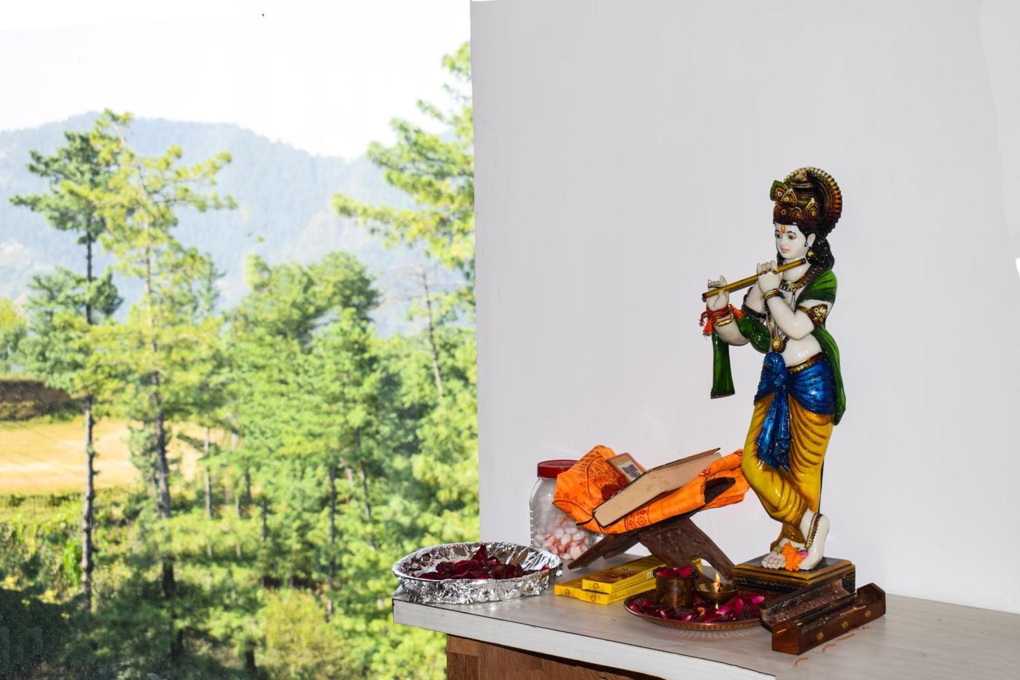 Royal Green Mashobra - Mountain And Valley View Rooms Shimla Esterno foto