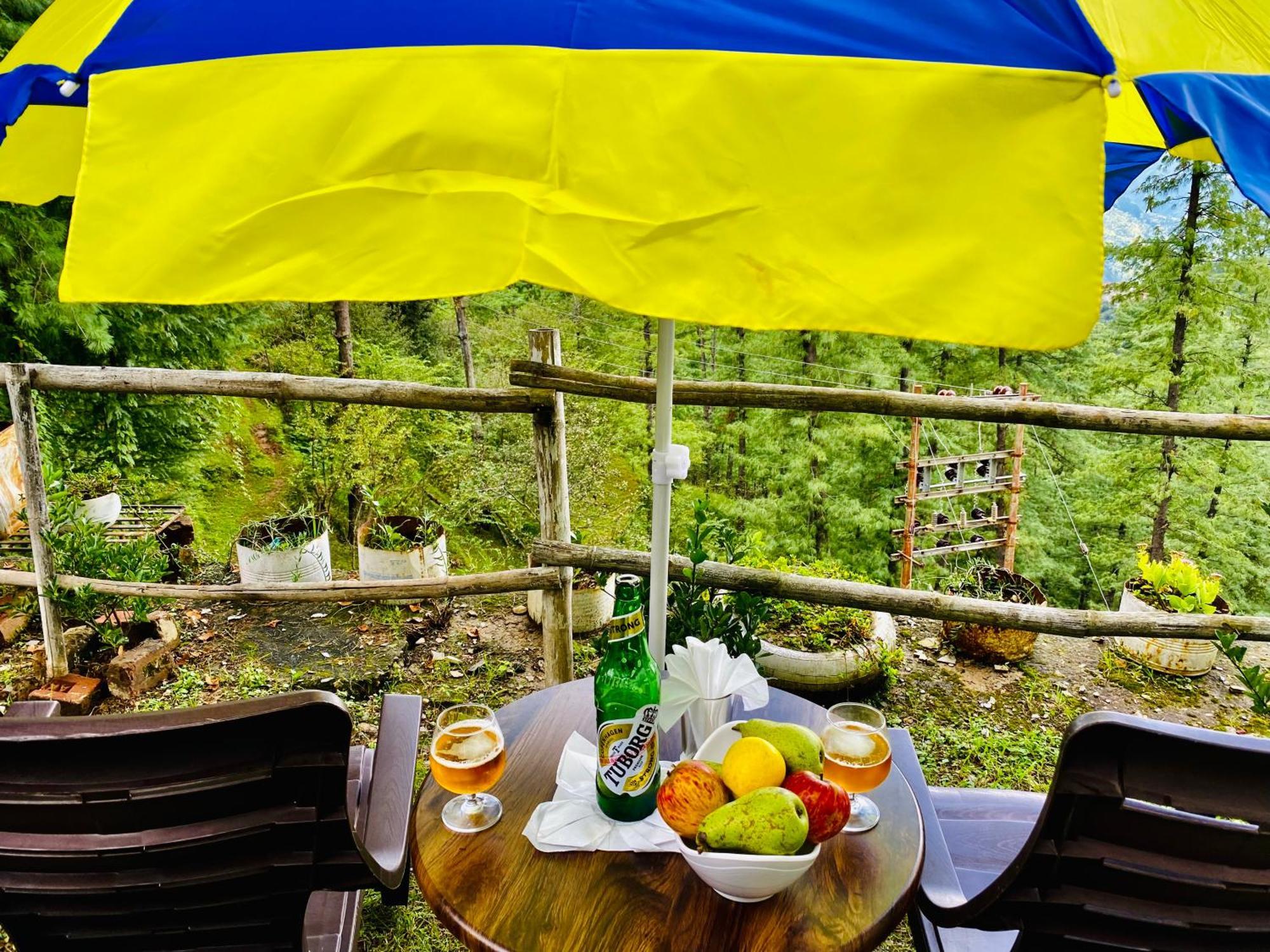 Royal Green Mashobra - Mountain And Valley View Rooms Shimla Esterno foto
